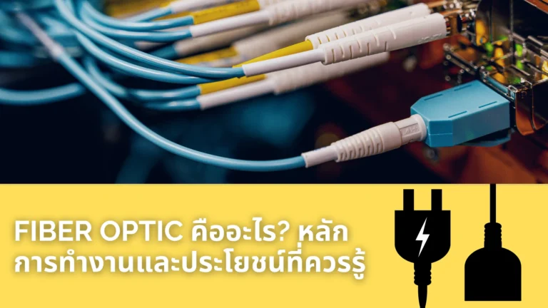 Fiber Optic